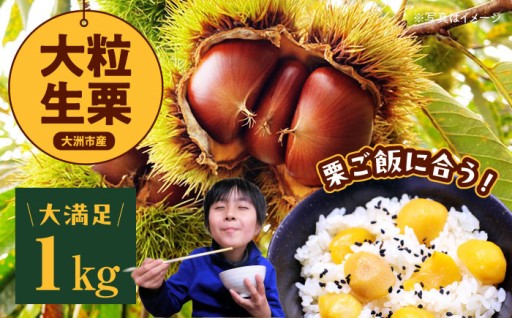 大粒 生栗 1kg