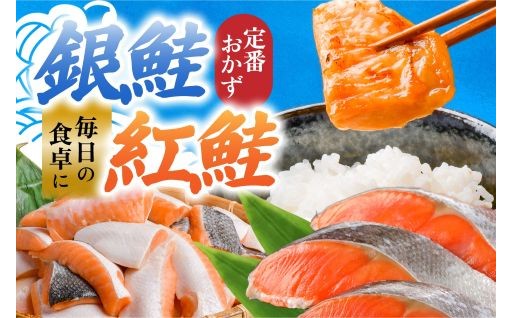 銀鮭派？紅鮭派？あなた好みの鮭を見つけてみませんか？