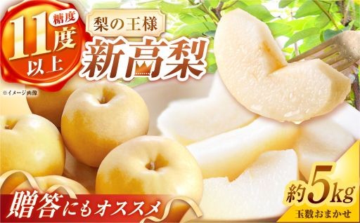 シャリッと食感がたまらない！梨の王様《新高梨》