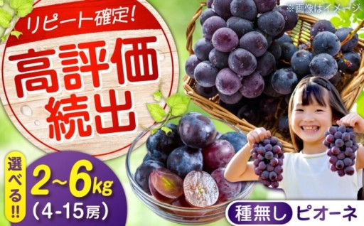 宝石のように輝く沼隈ピオーネ