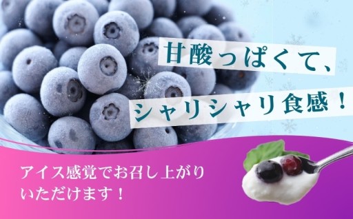甘酸っぱくておいしい、便利な冷凍ブルーベリー🫐✨