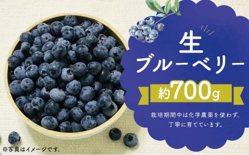 生 ブルーベリー 約700g 約350g×2パック