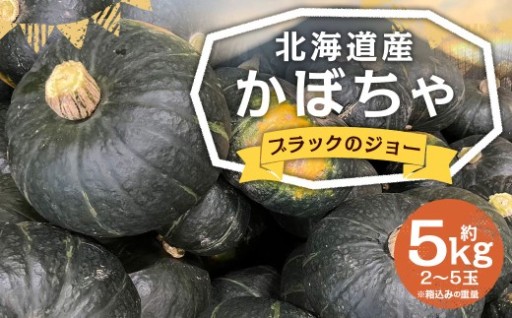 北海道産 かぼちゃ （ブラックのジョー） 約5kg セット 【2026年10月上旬-11月上旬迄発送予定】