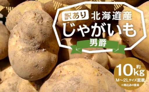 【訳あり】北海道産 じゃがいも 男爵 M～2Lサイズ混載 約10kg 1箱 