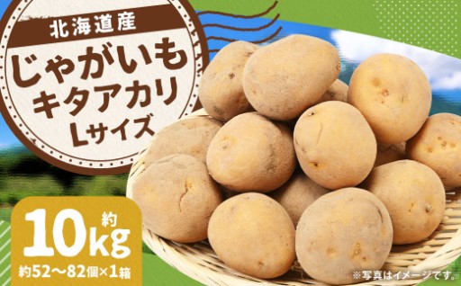 じゃがいも キタアカリ Lサイズ 約10kg 1箱 （JA）  【2026年9月下旬～12月下旬迄発送予定】