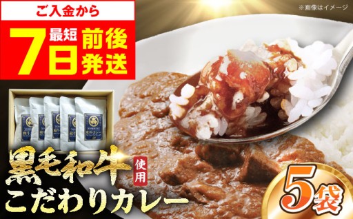 【スピード発送！】モリタ屋オリジナル和牛カレー×5袋🍛