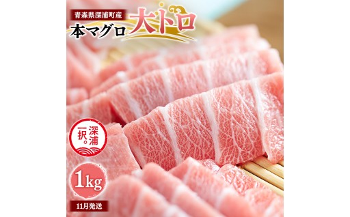 青森県深浦町産 天然本マグロ 大トロ 1kg