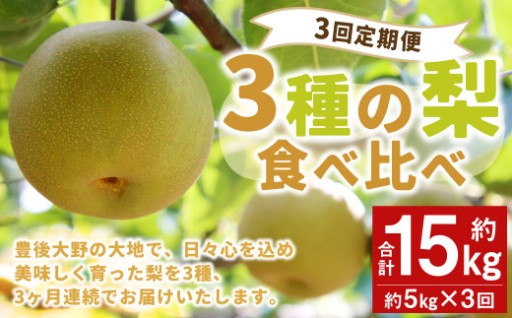  【先行予約】【3回定期便】 3種の梨 食べ比べ 定期便 約5kg×3回