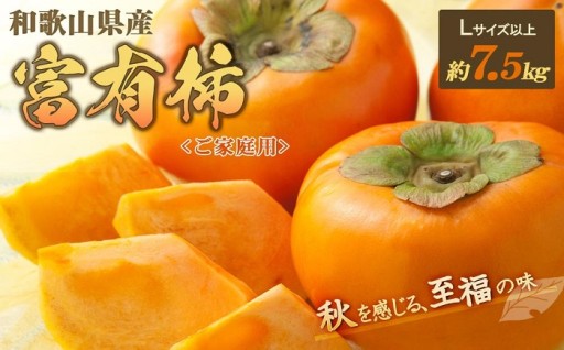 ◆先行予約◆和歌山県産 富有柿＜ご家庭用＞約7.5kg 満杯詰め