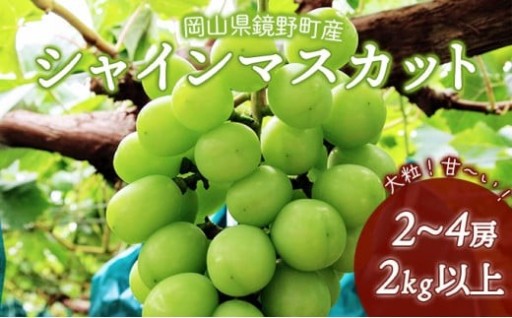 種なし、皮ごと食べられる！『シャインマスカット』