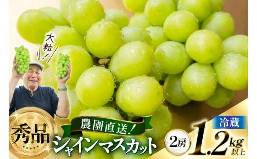 【期間限定発送】 シャインマスカット秀