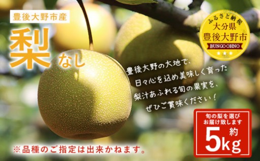 【先行予約】 大分県 豊後大野市産 梨 約5kg 【2026年8月下旬～12月上旬発送予定】