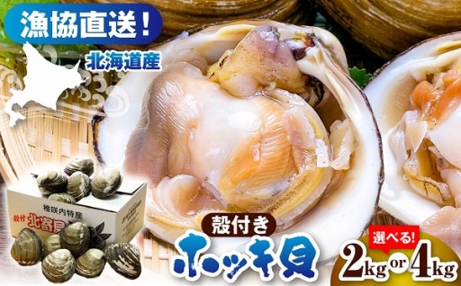 獲れたて直送！ホッキ貝【選べる容量：2kg/4kg】