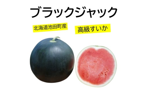 【数量限定　残り5個】北海道池田町の新名物！極上の甘さ「ブラックジャックスイカ」	