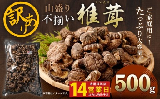  【入金確認後14日以内に発送】 山盛り 不揃い 椎茸 500g