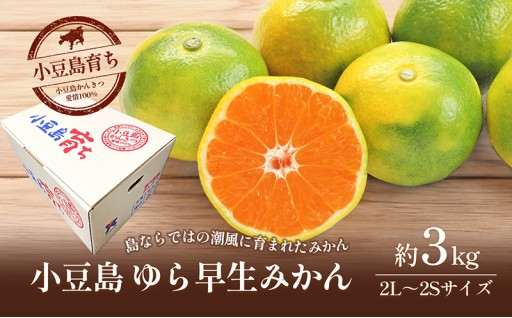 【先行予約受付中！】小豆島ゆら早生みかん約3kg
