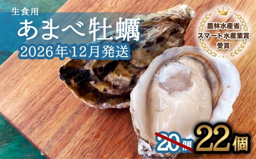 先行予約 あまべ牡蠣 22個 カキ 生食用