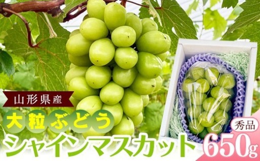 生産者直送！大粒のシャインマスカット！