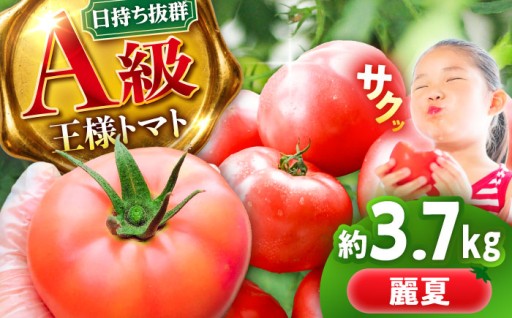 【8/31受付終了】A級品！王様トマト3.7kg