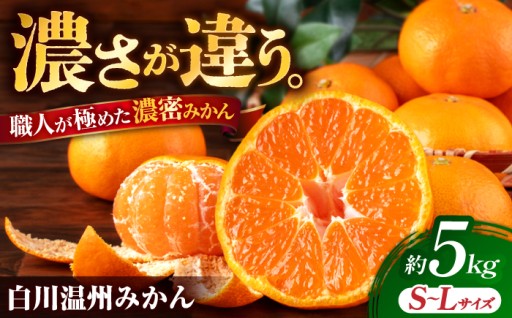 ＼生活応援よか値CP／【先行予約】 旨み凝縮！ 飛龍台木 白川 温州みかん S～Lサイズ 約5kg 【小春農園】