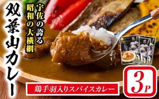 双葉山カレー(計540g・180g×3P) 