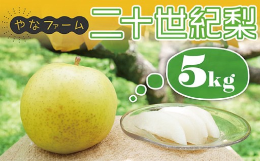 【やなファーム】東峰村産 二十世紀 梨 なし 福岡県 東峰村 5kg