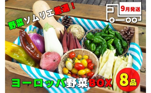 今週金曜日で受付終了です！