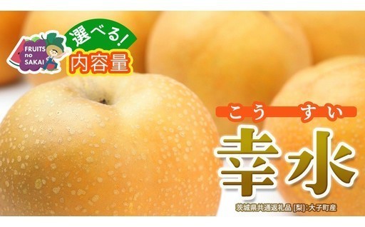 ＼暑い季節にひんやり／【幸水梨】シャキッ！ジュワッ！上品な甘み