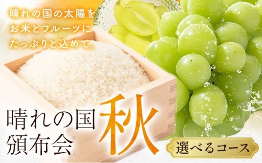 これからの季節に！シャインマスカット＆無洗米の贅沢セット🍇🍚