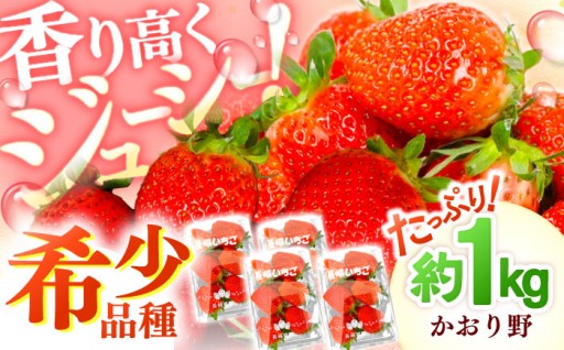 箱を開けた瞬間に広がる芳醇な香り！甘い「かおり野」