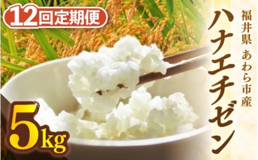 【先行予約】炊き上がりは白く美しいツヤ🍚