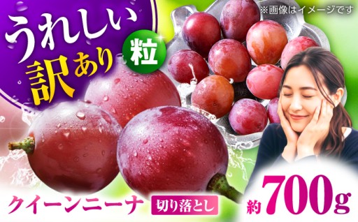 ＼生活応援よか値キャンペーン／【先行予約】訳あり クイーンニーナ 切り落とし 約700g 【合同会社 社方園】