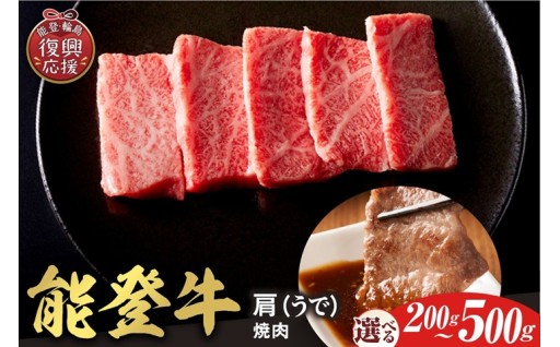 【和牛セレブ】能登牛 牛肩ロース 焼肉 選べる内容量！