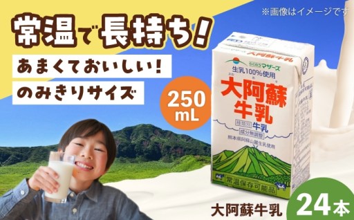 常温保存可能！大阿蘇 牛乳 250ml×24本