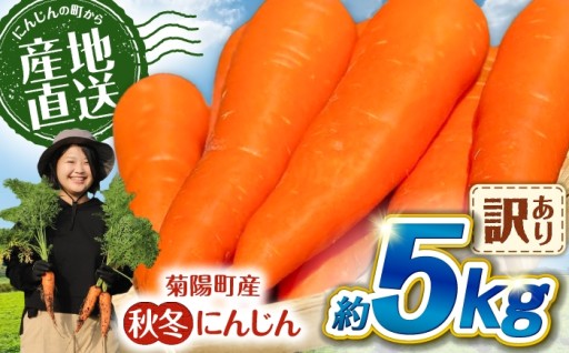 ＼先行予約／秋冬にんじん (訳あり) 約5kg