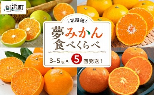 【旬のみかん🍊をお届け🚚💨】アグリの夢みかん食べくらべ（全5回）
