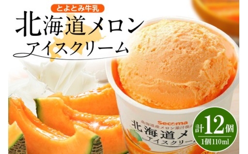とよとみ牛乳 北海道メロンアイスクリーム 12個
