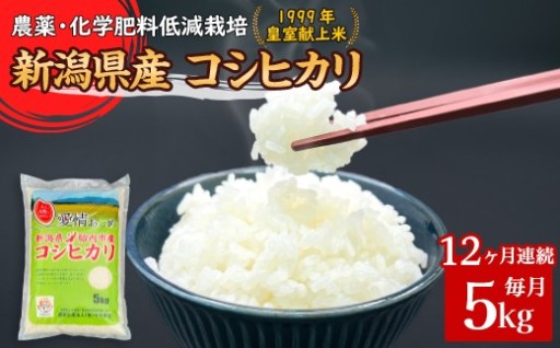 【令和8年産 新米予約🍚】新潟県産コシヒカリ5kg（12ヶ月連続お届け）