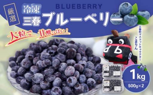 三春冷凍ブルーベリー 500g×2パック 計1kg