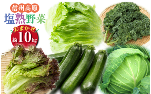 ミネラル満点「塩熟野菜」