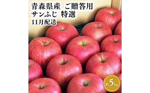 11月発送 【特選】サンふじ5㎏ 宮川商店