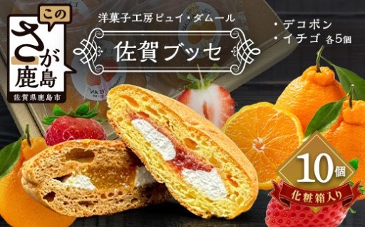 佐賀ブッセ 10個入り（イチゴ・デコポン 各5個）焼き菓子 洋菓子 お菓子 佐賀県 鹿島市 A-236