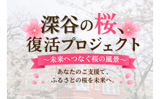 渋沢栄一のふるさと「深谷の桜、復活プロジェクト」