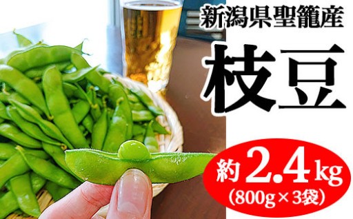 【今夜の一杯のお供に🍺】新潟県聖籠産 枝豆2.4kg（800g×3袋）