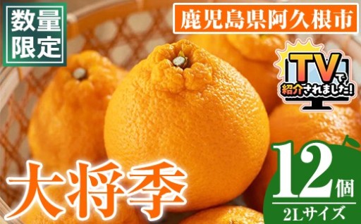 数量限定！大将季 (12個・2Lサイズ)