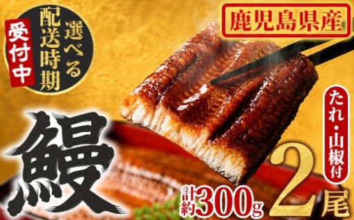 ＜発送時期が選べる＞東串良町のうなぎ蒲焼(無頭)(2尾・計約300g・タレ、山椒付)