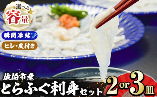 ＜内容量が選べる＞生簀直送 とらふぐ 刺し身 セット (2皿・3皿)