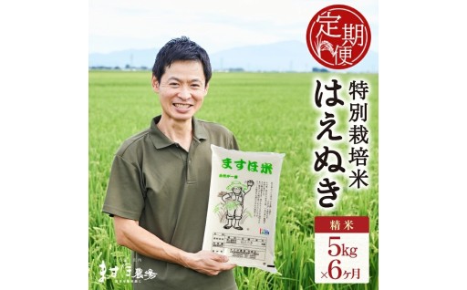 🚚【6回定期便】令和8年産【精米】特別栽培米🌾はえぬき🌾