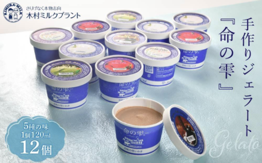 老舗牛乳屋が届ける、濃厚手作りジェラートセット