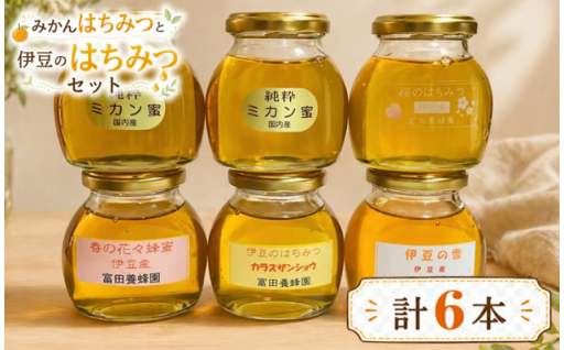 【寄附受付は8/31まで】富田養蜂園のみかんはちみつと伊豆のはちみつセット（200g×6本）